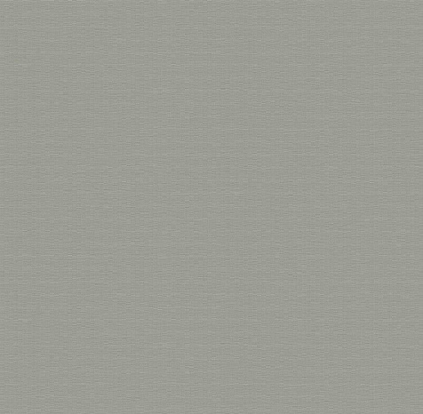 Обои виниловые на флизелиновой основе 585853 Victoria Stenova ФАКТ, 1.06 х 10.05 м . купить в СОМ