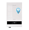 Котел электрический настенный Thermex Boss 12 Wi-Fi, белый купить в СОМ